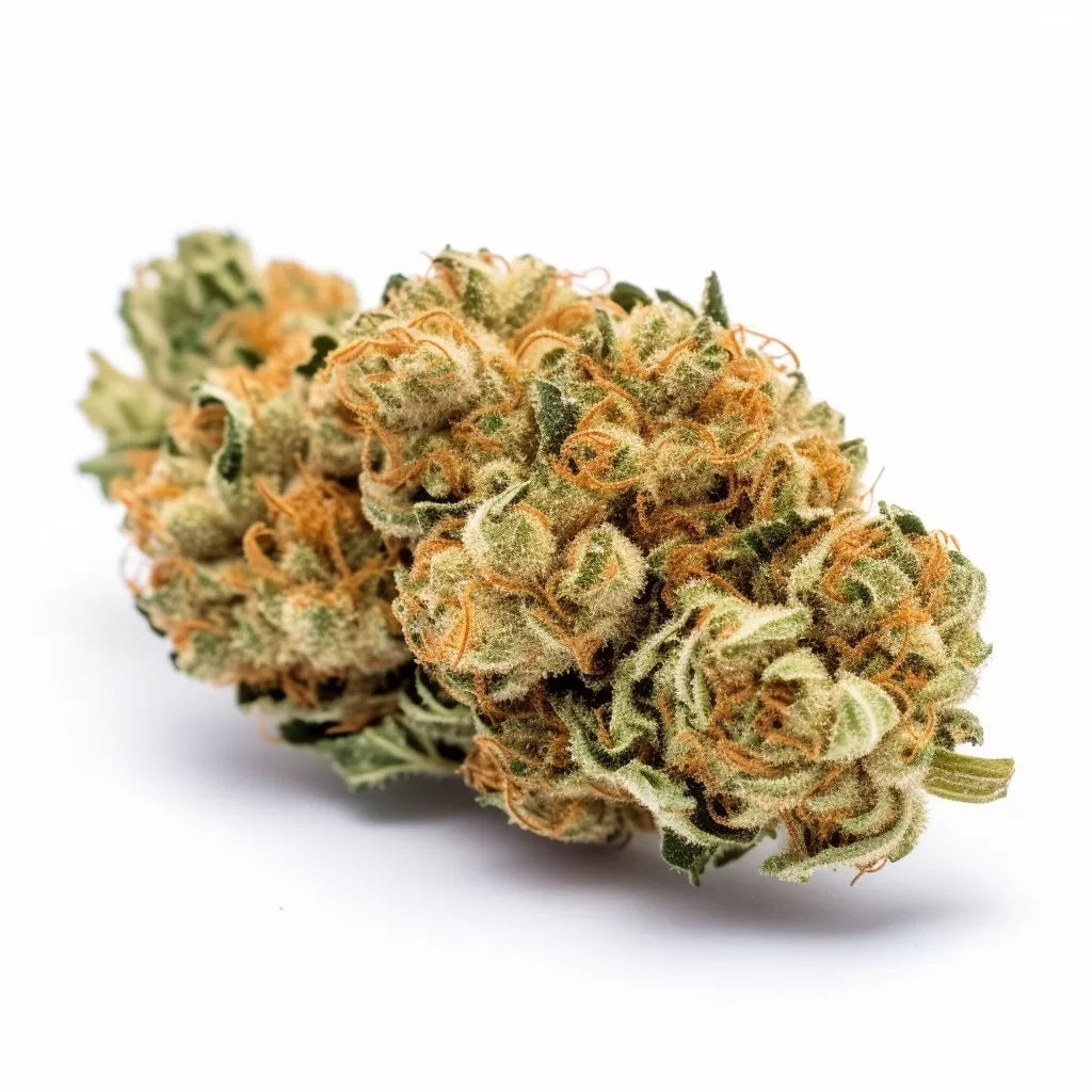 Super Lemon Haze Automatic Samen