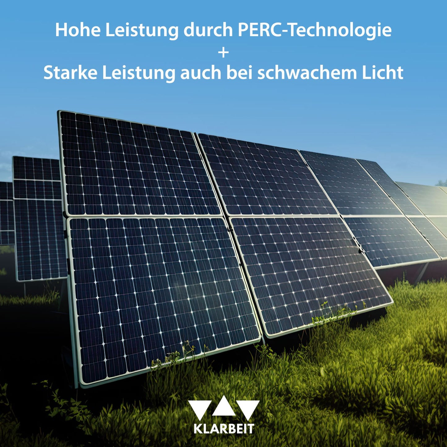 KLARBEIT - 1x Sunrise Godzilla + Kabel + Hoymiles 300W