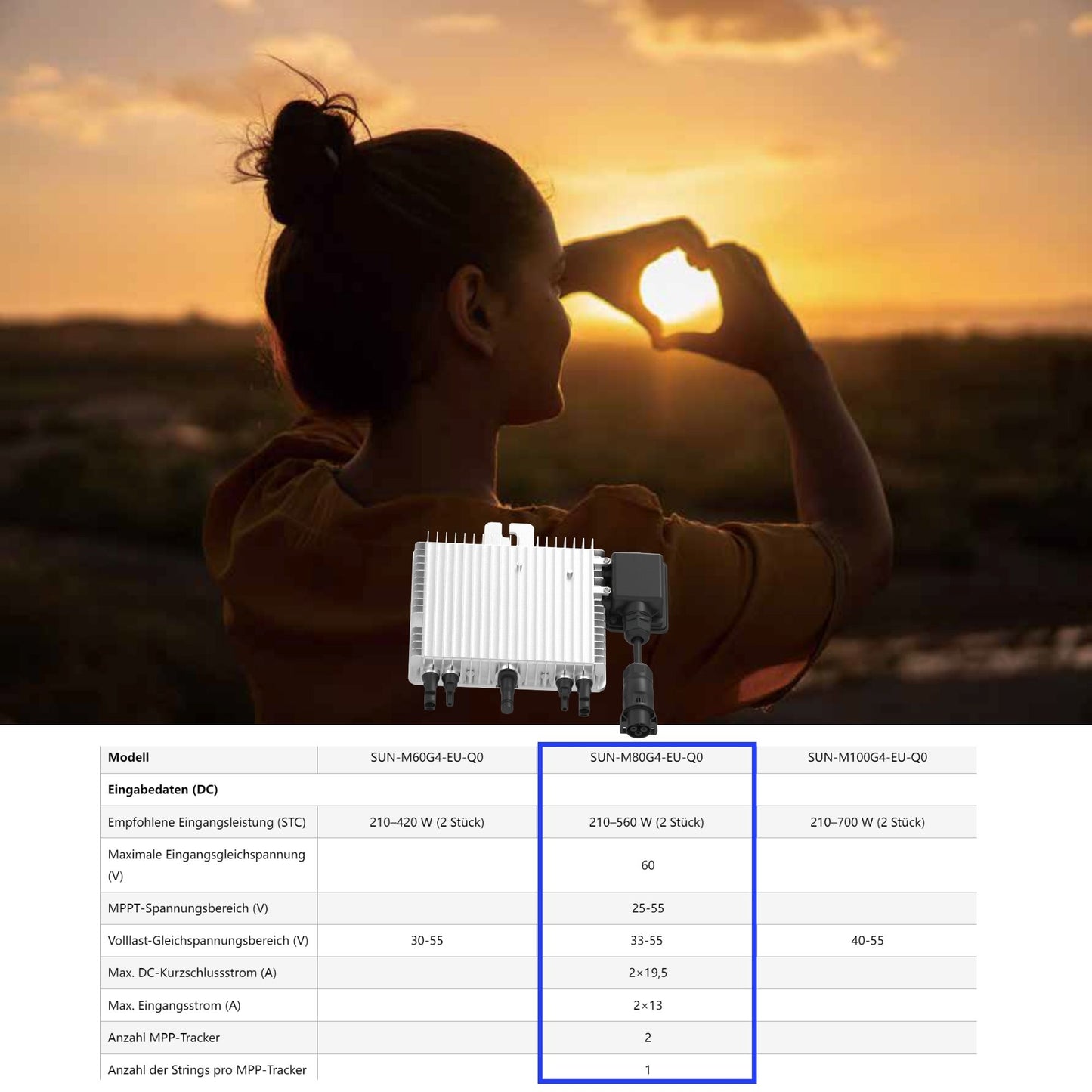 Klarbeit - Deye Inverter 800W M80 inkl. NA-Schutz SUN-M80-G04 - Neu